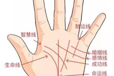 凯帝阿手相算命图解大全04