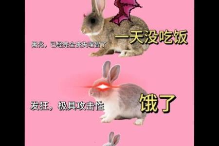 你相信紫薇斗数吗