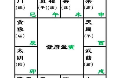 紫微斗数之财帛宫与诸星，七杀星在财帛宫是什么意思？