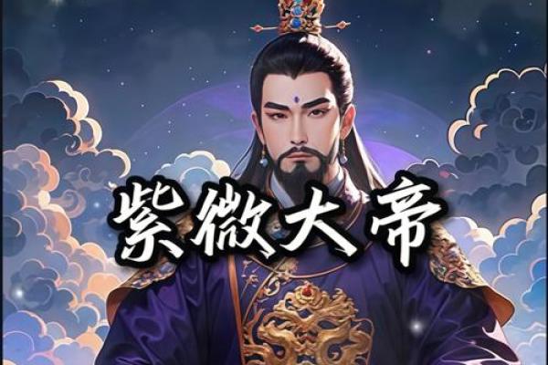 紫薇斗数app帝王