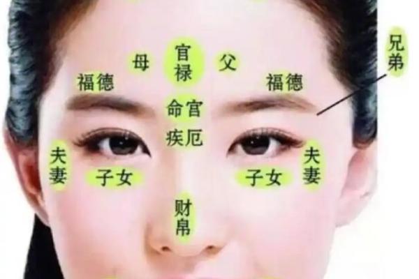 卧蚕眉算命好吗,卧蚕眉面相算命图解 卧蚕眉算命好吗,卧蚕眉面相算命图解