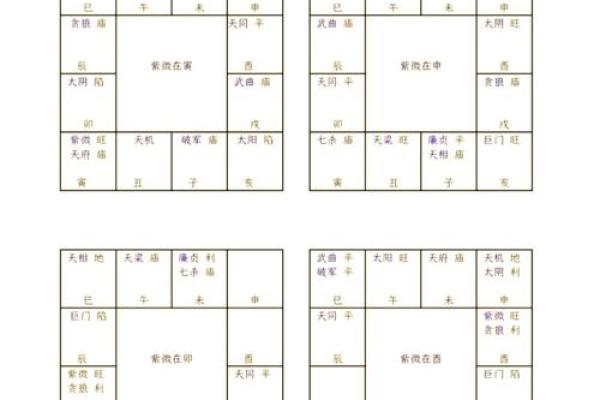 紫薇斗数子时怎么确定