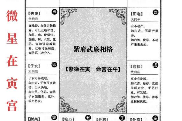 紫微斗数之四化象(上):观照命盘可顿悟——命由心起,化归自然 紫微斗数之四化象(上):观照命盘可顿悟——命由心起,化归自然