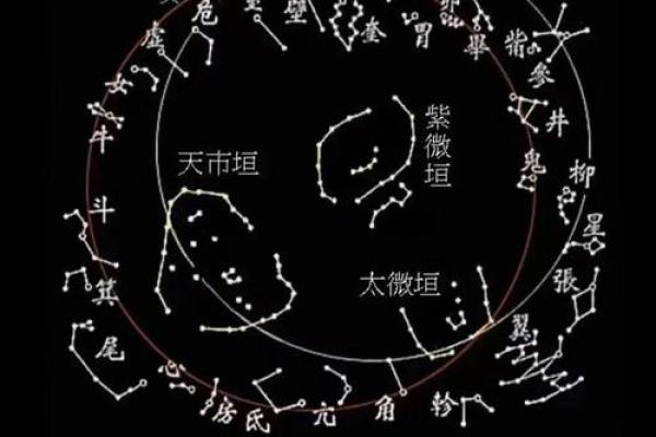 紫薇看配偶属相，紫薇看配偶性格和自己一样嘛？