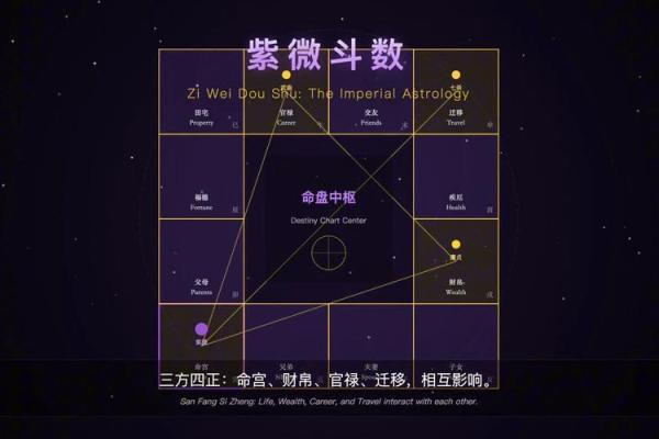 跟着AI学紫薇斗数，紫微星的四化的介绍