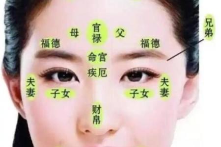卧蚕眉算命好吗，卧蚕眉面相算命图解