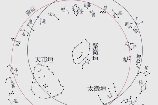紫薇斗数历史最经典 紫薇斗数历史最经典