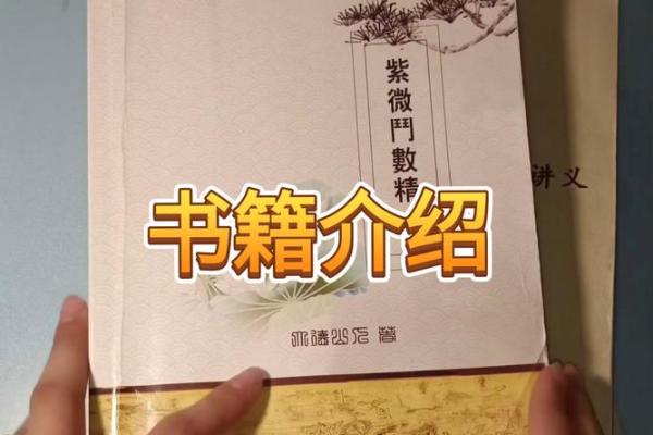 高级紫薇斗数书