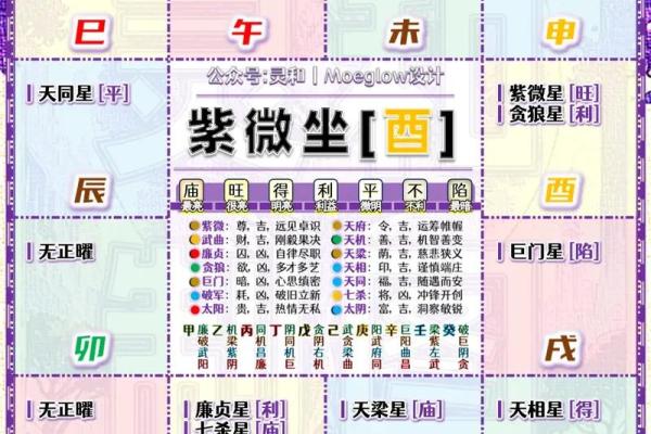 倪海厦紫薇斗数案例10