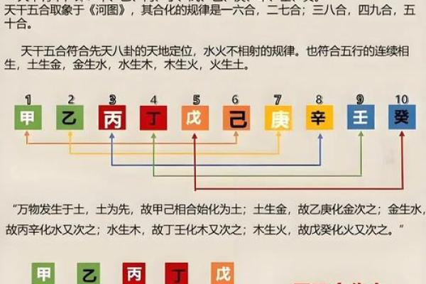 总复习：快速看穿八字网络排盘器界面（下）