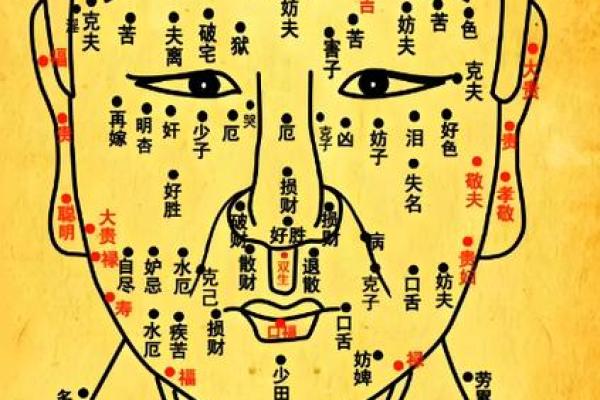 你的五官里，藏着你一生的风水