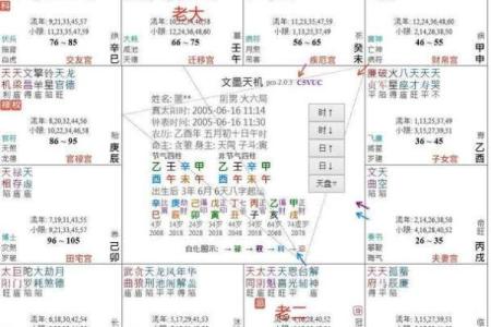 十二宫紫薇斗数