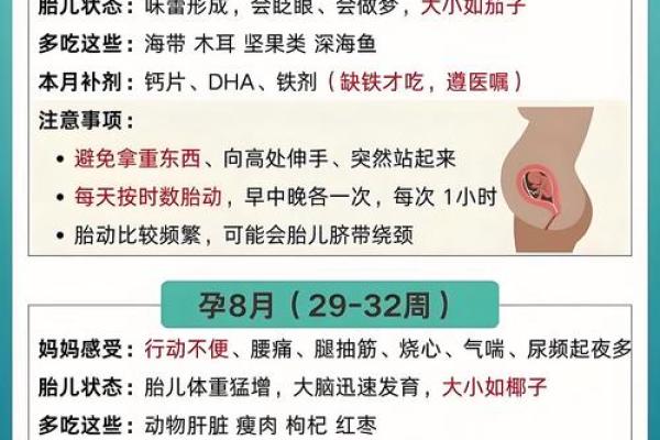 紫薇斗数怀孕生子年份
