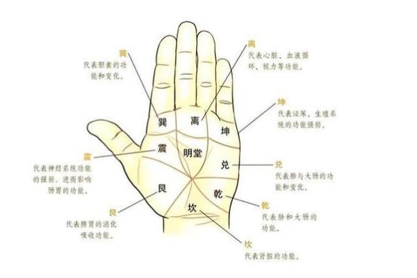 手型算命:金型手人的性格与命运 手型算命:金型手人的性格与命运