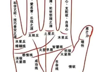 看手相算命图解