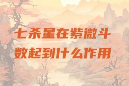 紫薇斗数七杀有哪些