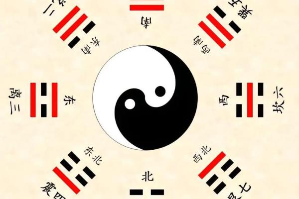 紫薇斗数大太极