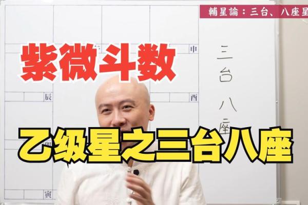 三台紫薇斗数 三台紫薇斗数