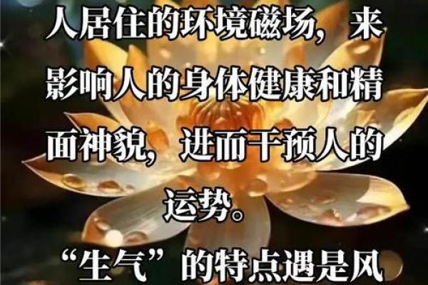 风水与运势息息相关 这些风水无形中影响着你的事业运