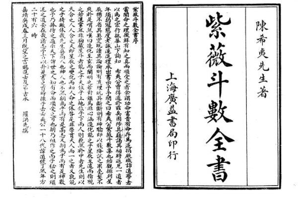 紫薇斗数精成国学