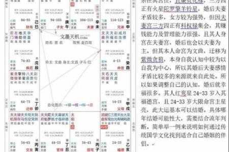 紫微斗数之事业宫与诸星，廉贞星在事业宫是什么意思？