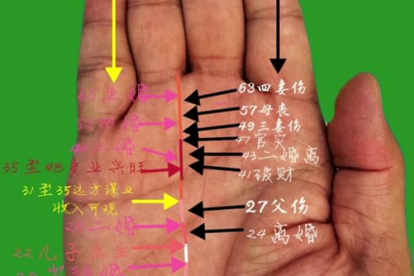 手掌算命男左女右