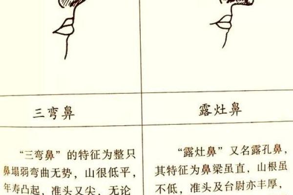 相面算命看见鼻孔好吗