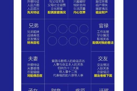 紫微斗数之十二宫分属阴阳