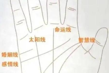 手掌算命男左女右