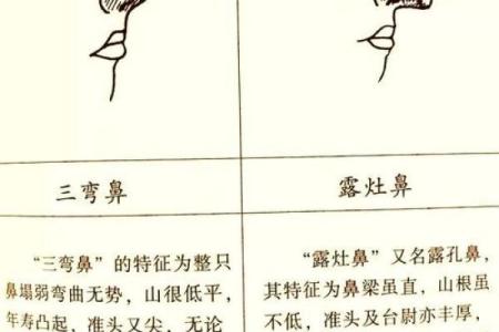 相面算命看见鼻孔好吗