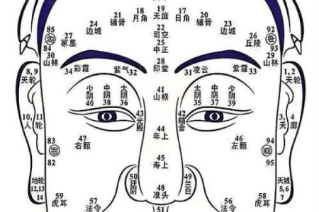 西方三大占卜术,算命三大神术