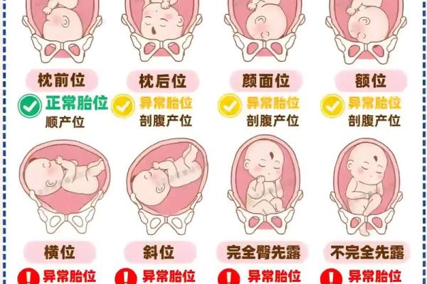胎记的位置与算命图解