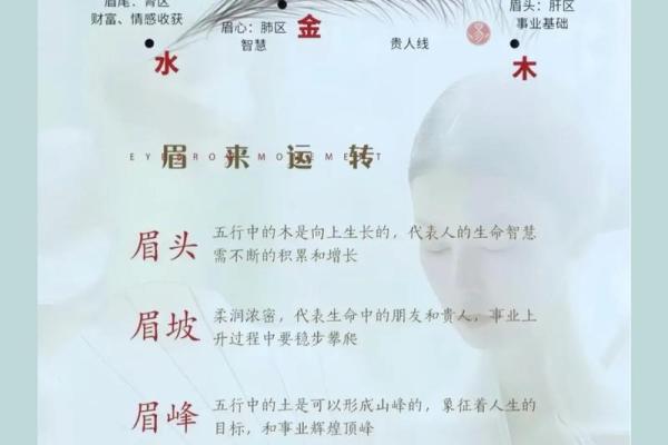 眉毛很浅在面相算命中是怎么说