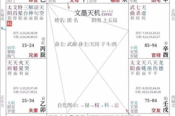 紫微斗数诸星落诸宫之，夫妻宫