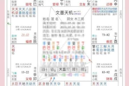 紫微斗数小星宿的含义 紫微斗数二十八星宿详解？