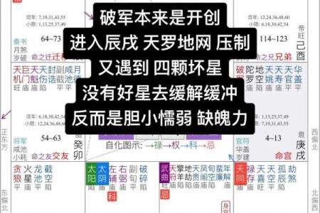 紫薇斗数兄弟破军