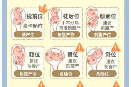 胎记的位置与算命图解