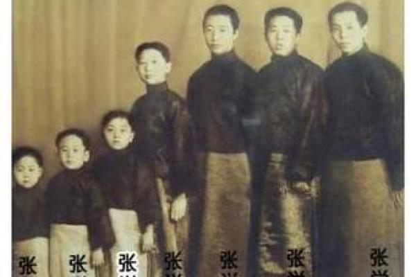 紫微斗数张学良 张学良星盘？