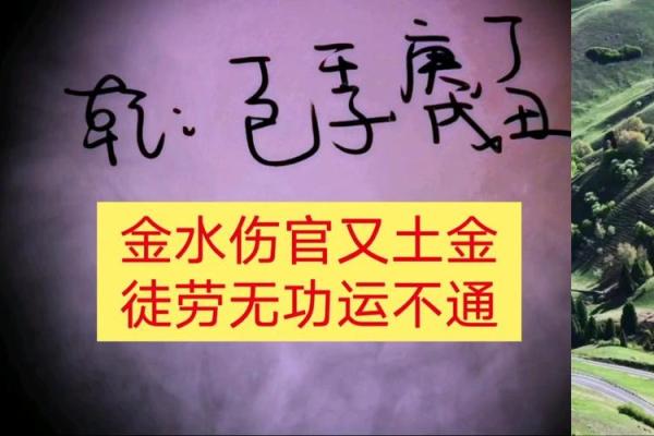 金水伤官八字 金水伤官八字