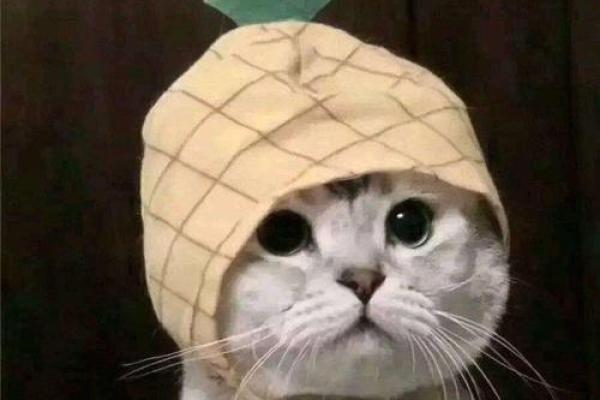 测试你是前任吗吉凶吧知乎