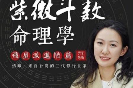 紫薇斗数视频进阶