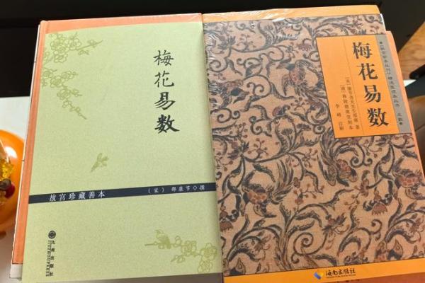 梅花易数算命入门书籍