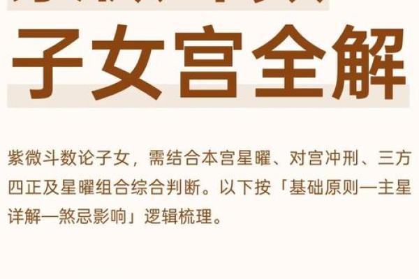 紫薇斗数子女宫在子