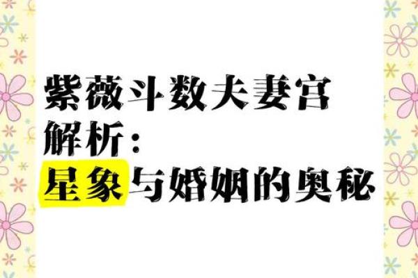 紫薇斗数夫妻宫代表