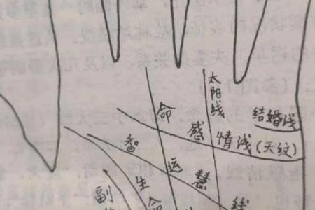 生命线算命：手掌上的玄机真能预测你的命运？