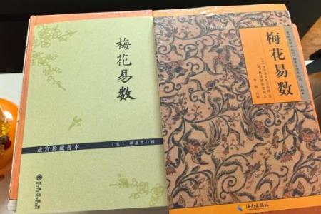 梅花易数算命入门书籍