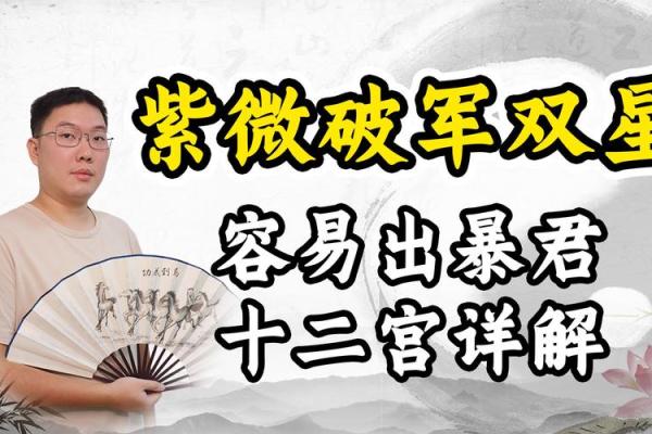 紫薇破军入疾厄宫的