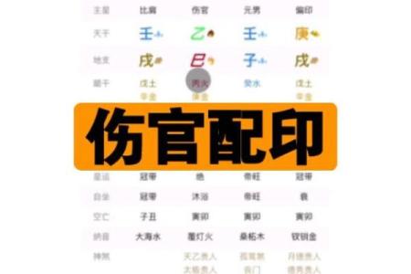 八字伤官配印格局
