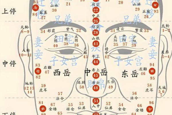 周易算命看面相