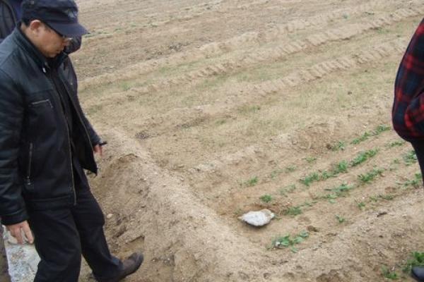 烟台福山算命哪里好